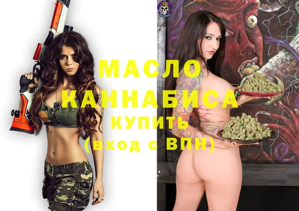 молекула духа Ельня