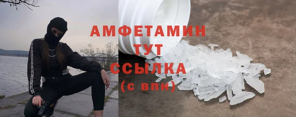 молекула духа Ельня