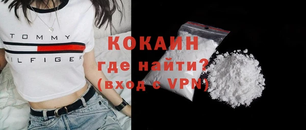 молекула духа Ельня