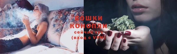 молекула духа Ельня