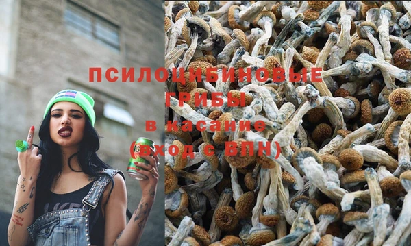 экстази Заволжск