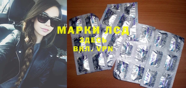 молекула духа Ельня