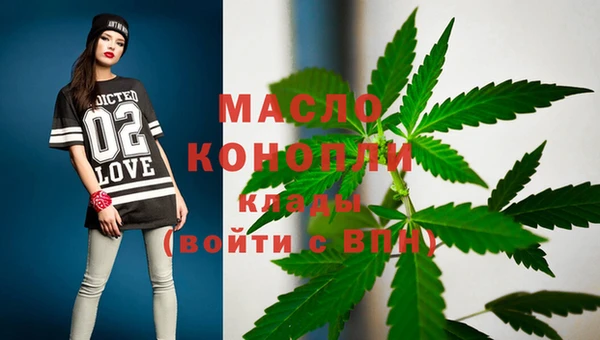 молекула духа Ельня